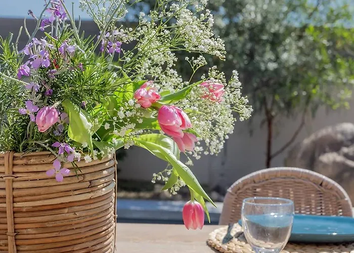 3 Avec Piscine Privative * Porto Vecchio